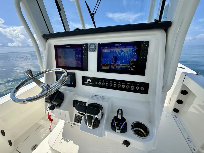 Slide: The Image of World Cat 295 CC 2021 - 6109448