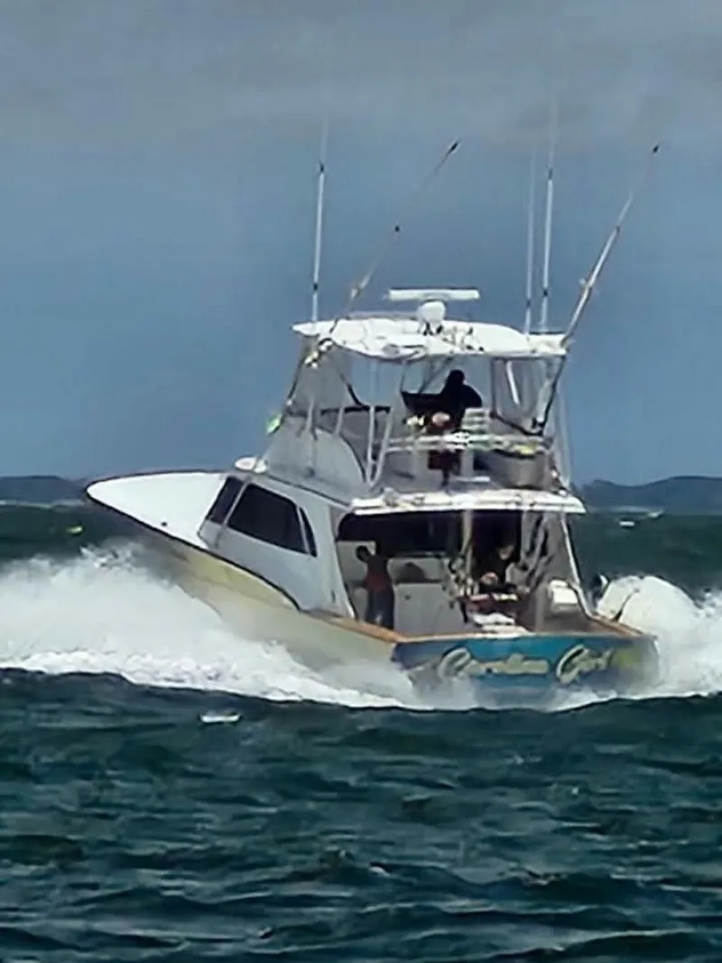 Slide: The Image of Custom Carolina Jarrett Bay 1993 - 6128727