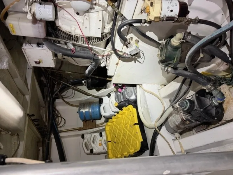 Slide: The Image of Custom Carolina Jarrett Bay 1993 - 6113653