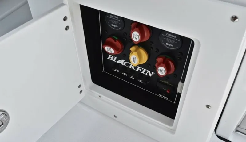 Slide: The Image of Blackfin 27 2019 - 6261927