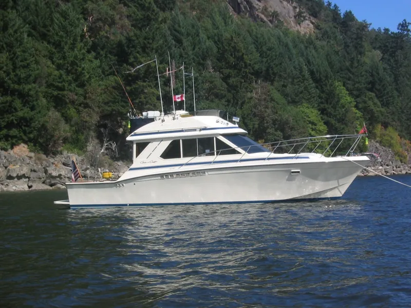 The Image of Chris-Craft 44 Sedan 1987 - undefined