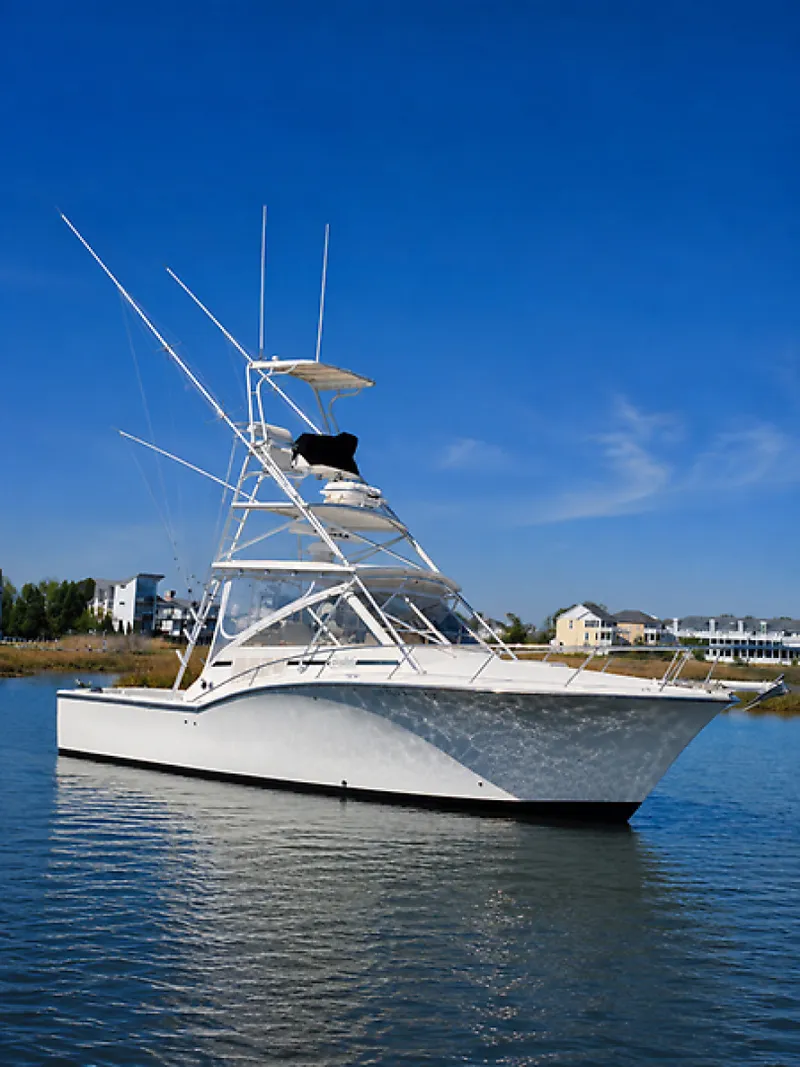 The Image of Carolina Express 2006 - undefined