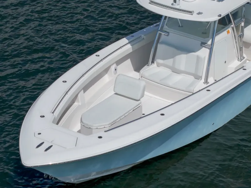 Slide: The Image of Invincible 39 Open Fisherman 2017 - 6134046