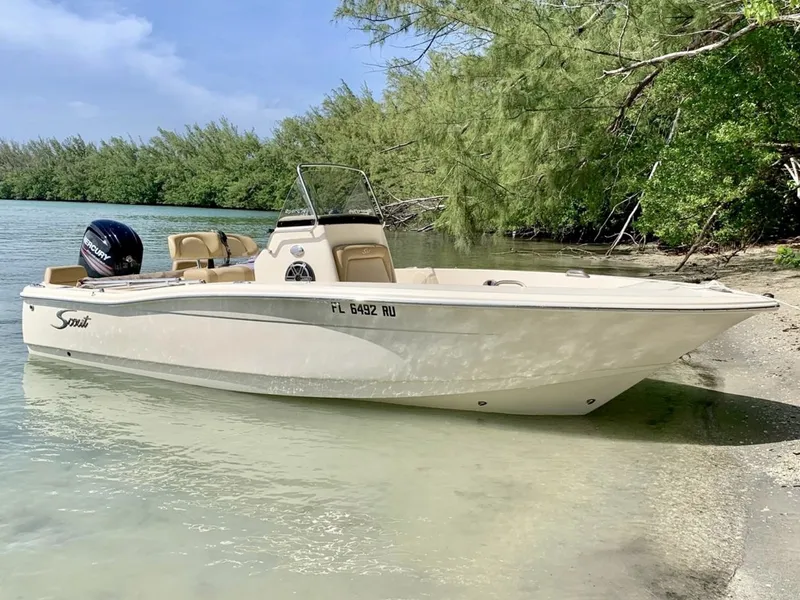 The Image of Scout 195 Sportfish 2019 - 6135996