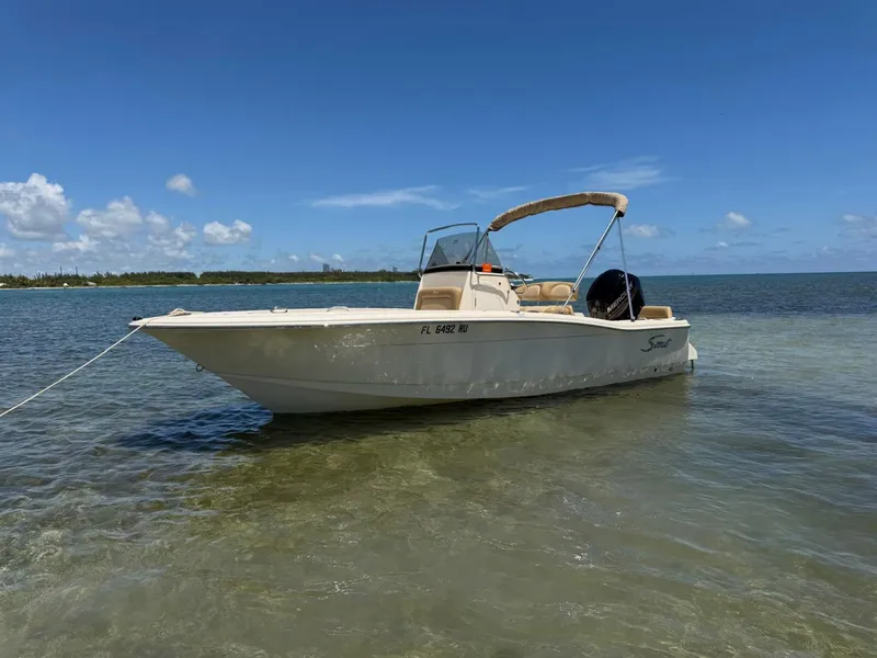 Slide: The Image of Scout 195 Sportfish 2019 - 6135998