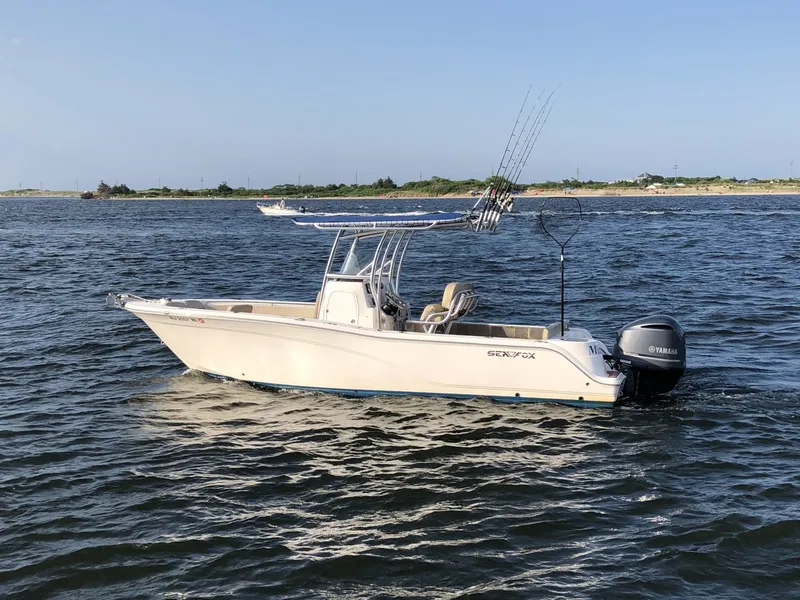 Slide: The Image of Sea Fox 249 Avenger 2018 - 6141889