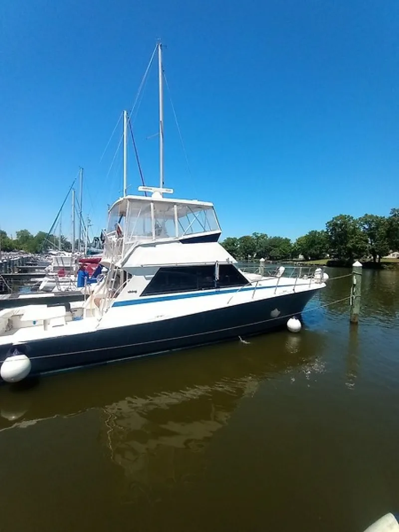 The Image of Viking Convertible 1987 - 6152079