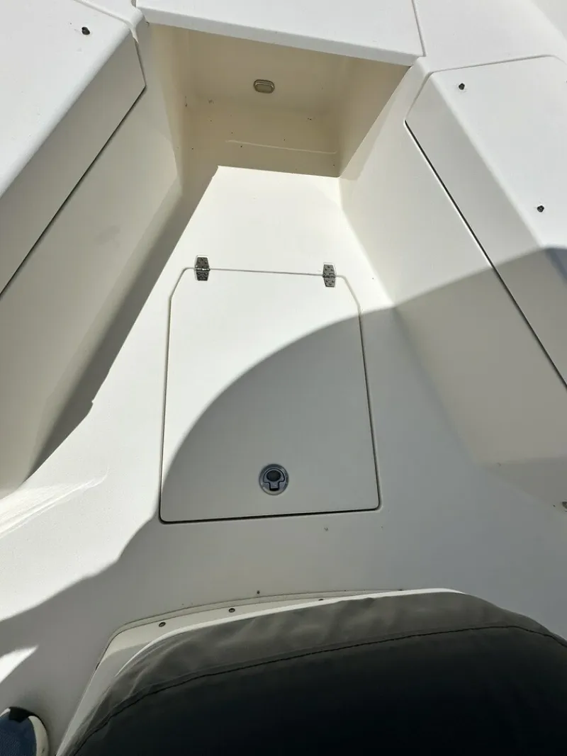 Slide: The Image of Cobia 240 CC 2021 - 6183930