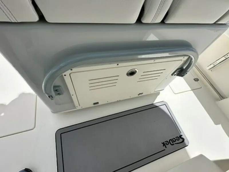 Slide: The Image of Cobia 240 CC 2021 - 6183969