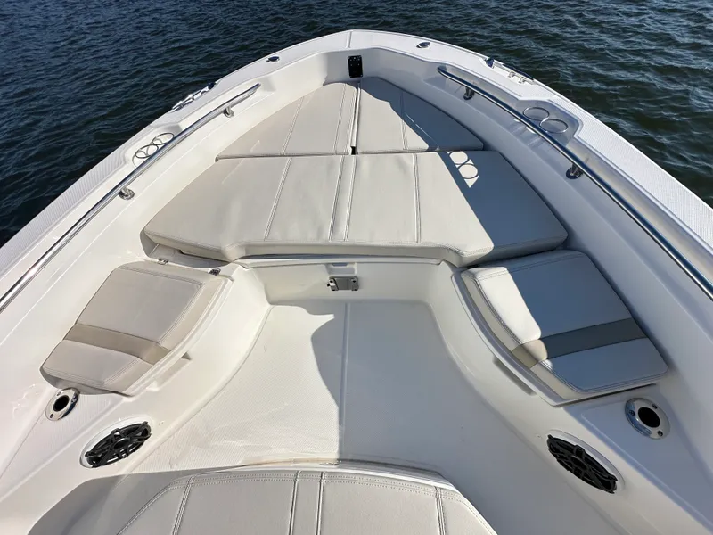Slide: The Image of Boston Whaler 250 Dauntless 2025 - 10