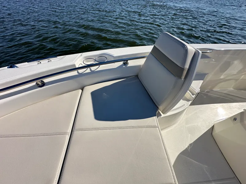 Slide: The Image of Boston Whaler 250 Dauntless 2025 - 11