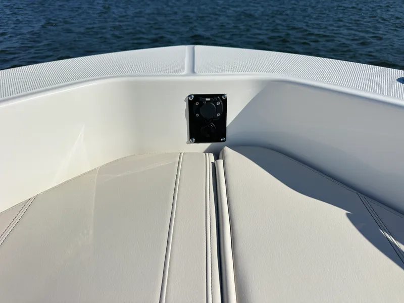 Slide: The Image of Boston Whaler 250 Dauntless 2025 - 12