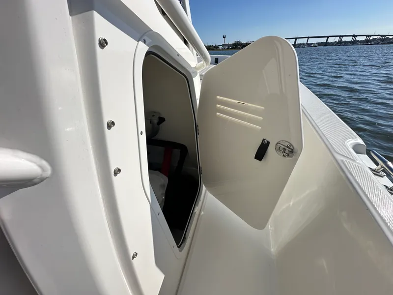 Slide: The Image of Boston Whaler 250 Dauntless 2025 - 17