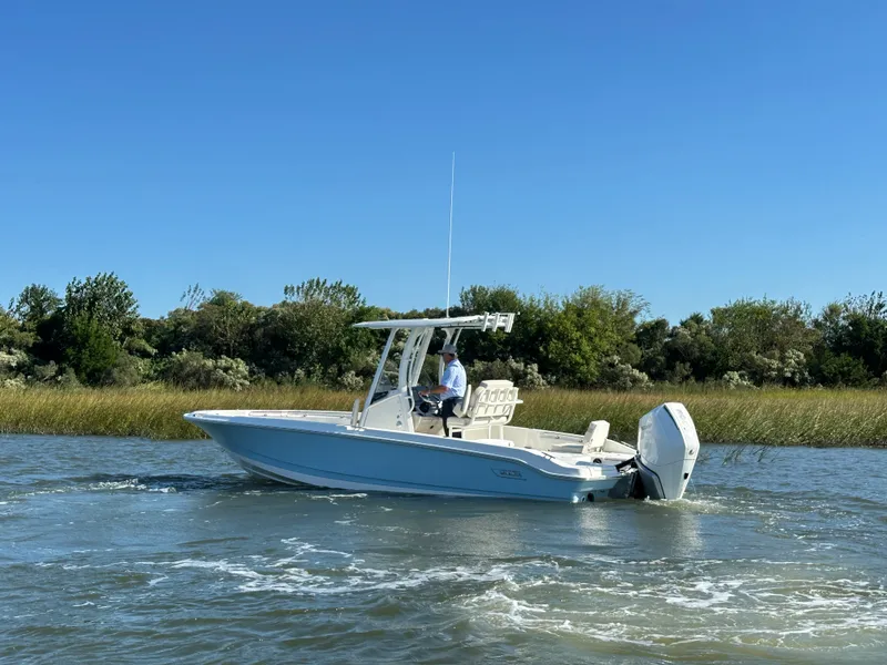 Slide: The Image of Boston Whaler 250 Dauntless 2025 - 4