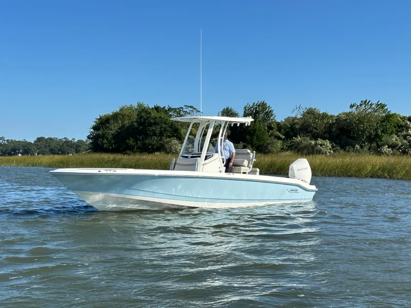 Slide: The Image of Boston Whaler 250 Dauntless 2025 - 6