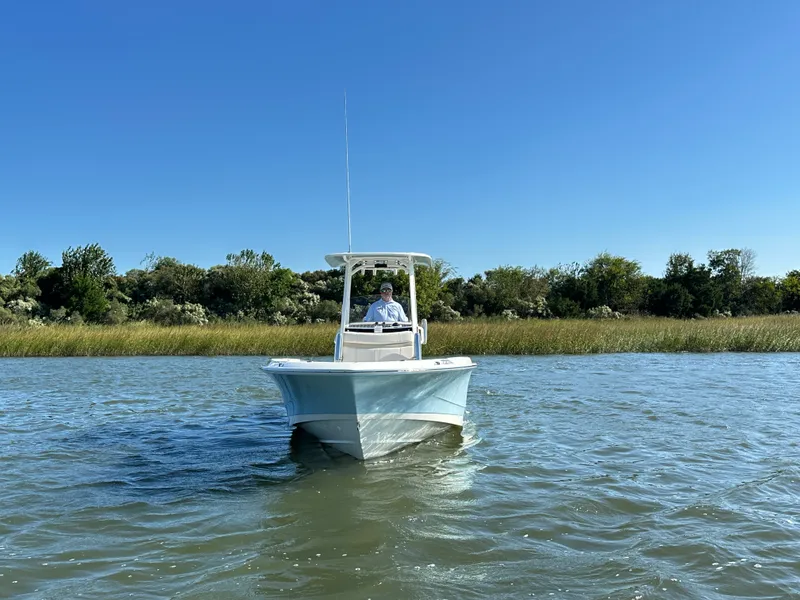 Slide: The Image of Boston Whaler 250 Dauntless 2025 - 7