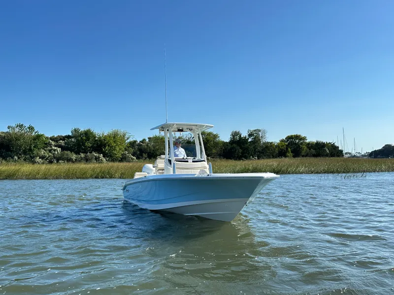 Slide: The Image of Boston Whaler 250 Dauntless 2025 - 8