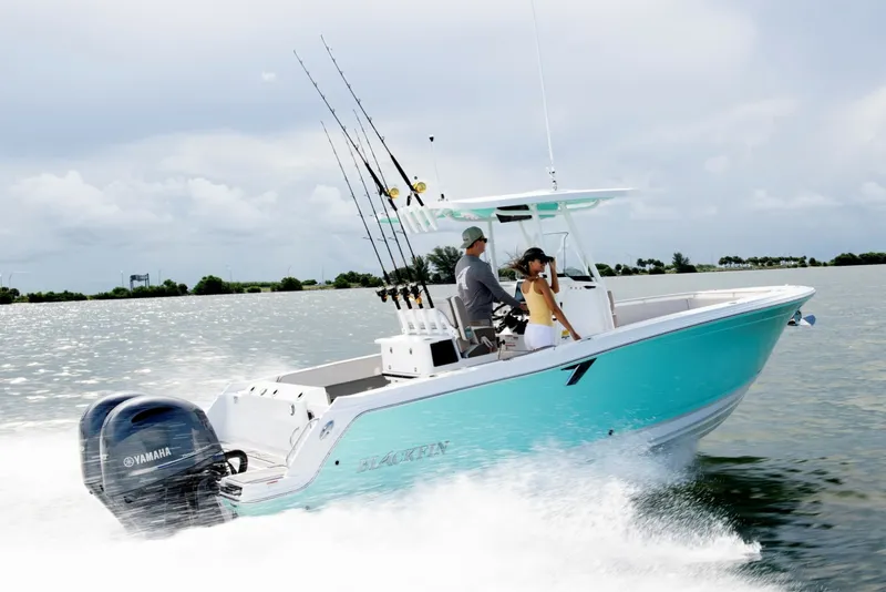 The Image of Blackfin 252 CC 2027 - 6187179
