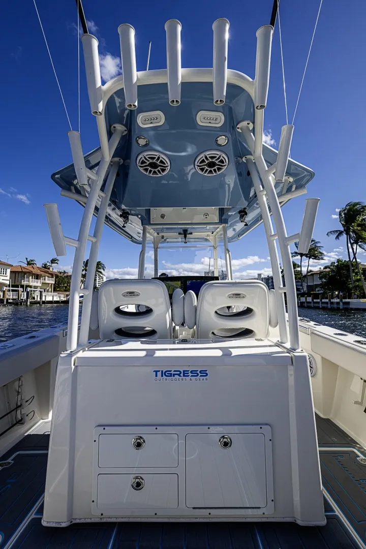 Slide: The Image of Cobia 320 CC 2021 - 6187413