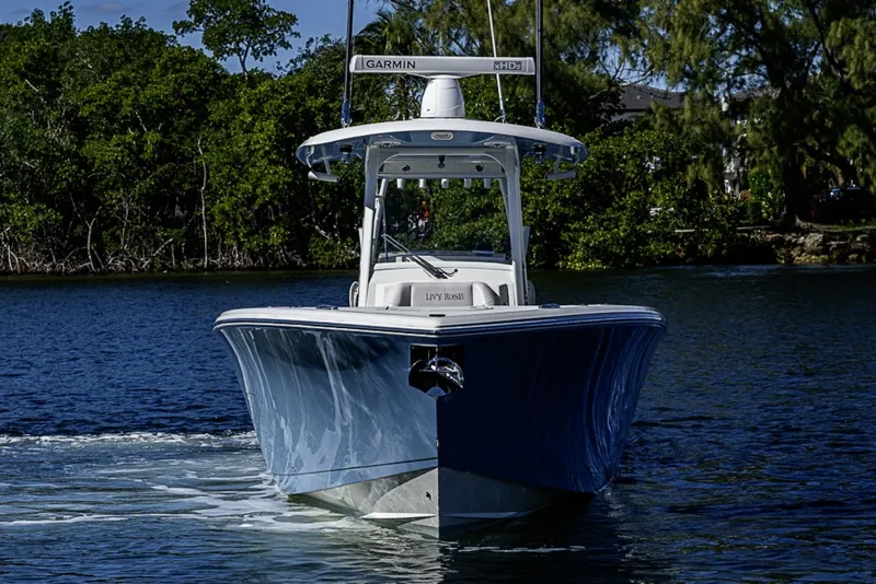 Slide: The Image of Cobia 320 CC 2021 - 6187467