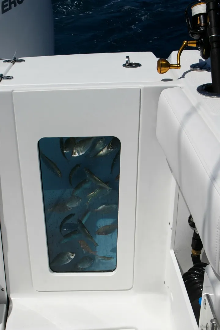 Slide: The Image of Blackfin 302 CC 2027 - 6187741