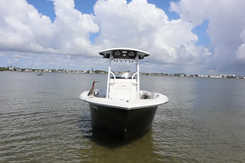 Slide: The Image of Sea Pro 219 2021 - 6253137