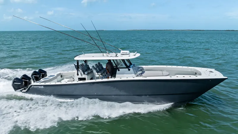 The Image of Freeman 42 LR 2020 - 0