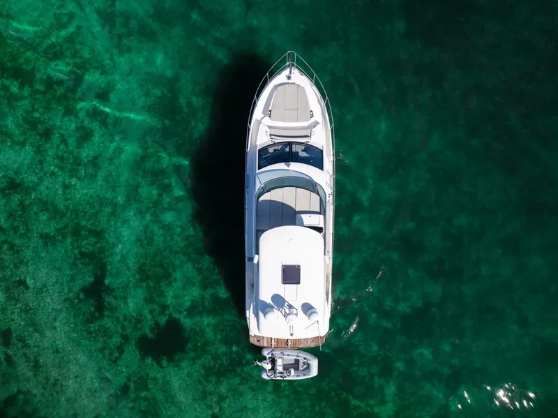 Slide: The Image of Absolute 50 Fly 2020 - 6252966