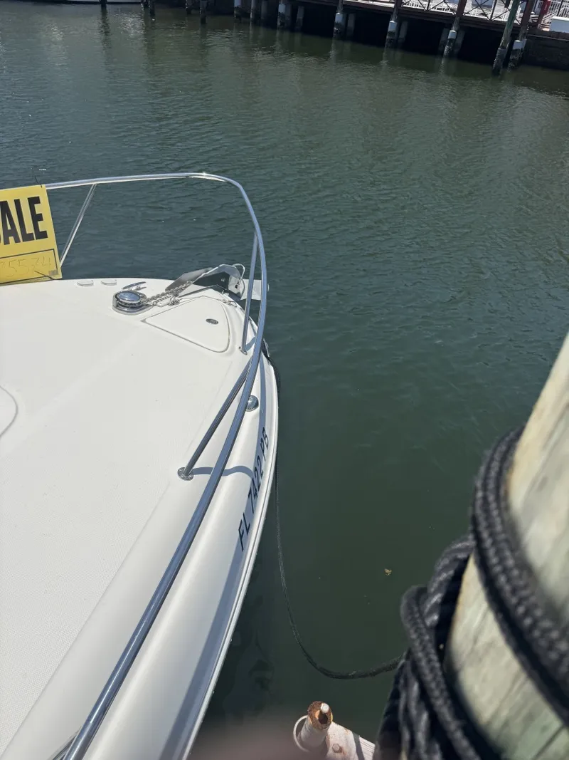 Slide: The Image of Sea Ray Sundancer 260 2008 - 6534847
