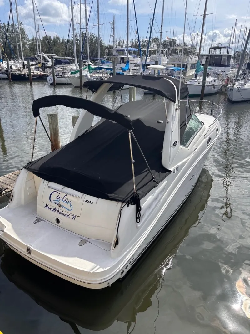 The Image of Sea Ray 26 2008 - 6258931