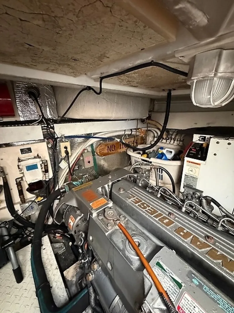 Slide: The Image of 0005735733 - 6259616