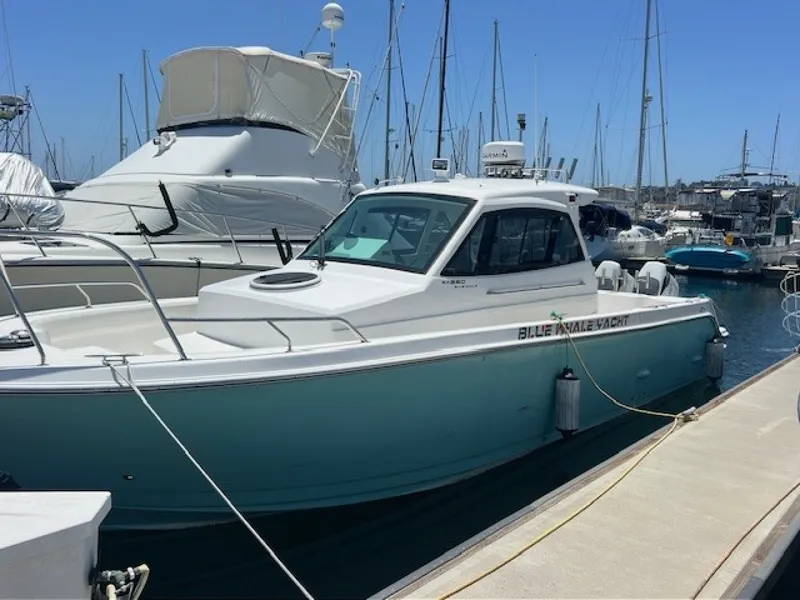 The Image of Custom Blue whale 36OB 2024 - 0