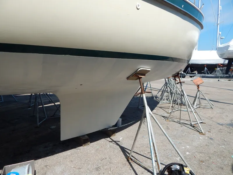 Slide: The Image of Nonsuch Classic 1984 - 6300674