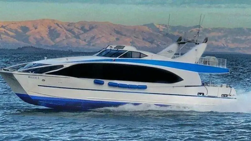 The Image of Custom High Speed 70pax COI Passenger 2008 - 6290245