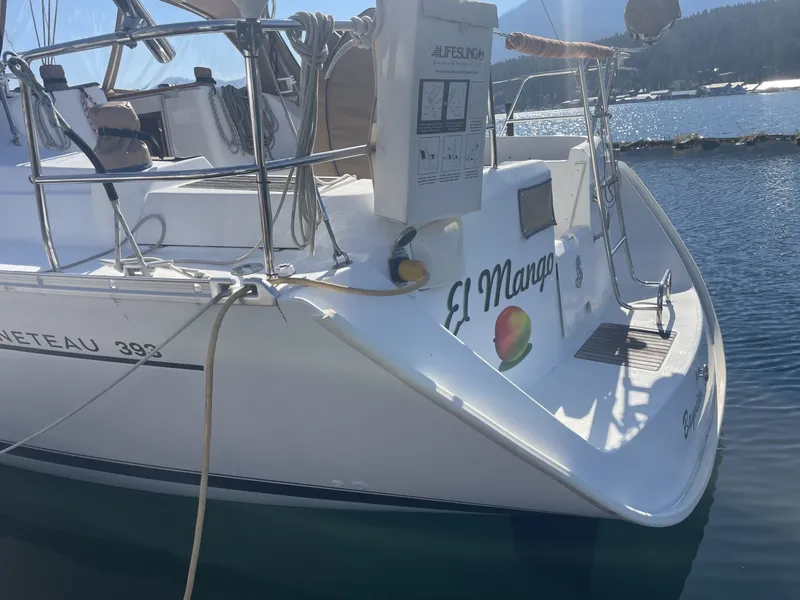Slide: The Image of El Mango transom - 6290671
