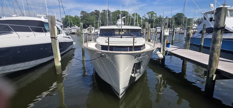 Slide: The Image of Greenline 40 Hybrid 2023 - 6298870