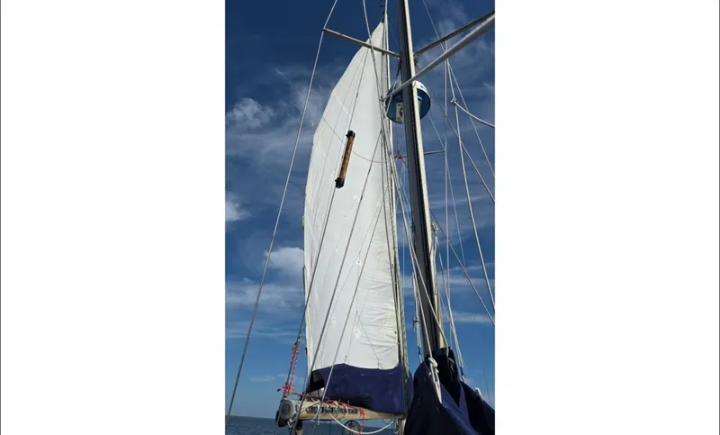 Slide: The Image of Camper & Nicholsons 42 1977 - 6300151