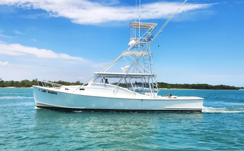 The Image of Young Brothers Custom Sport Fish/Charter Business 1987 - 6303753