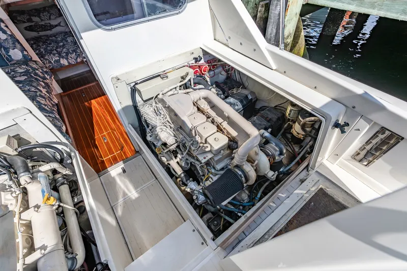 Slide: The Image of Bertram Flybridge Cruiser 1979 - 6454807