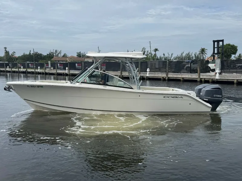 The Image of Cobia 28 2020 - 6332529