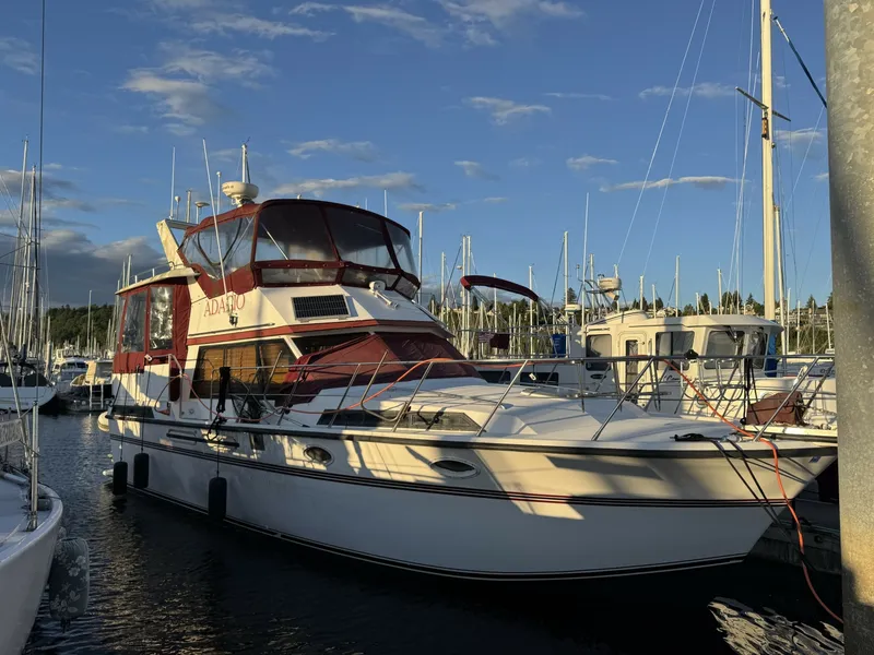 The Image of President 37 Sundeck 1987 - 6337874