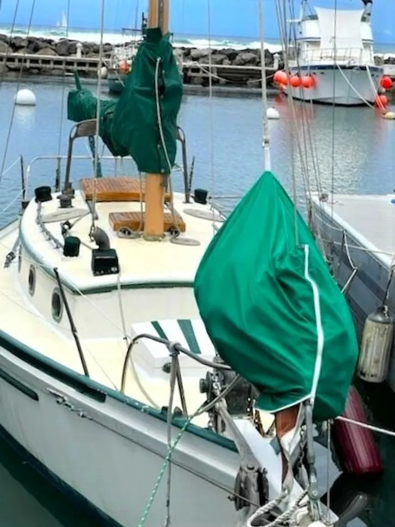 Slide: The Image of Custom Cutter 1982 - 6363498