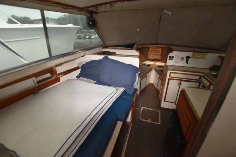 Slide: The Image of Blackfin 32 Sportfisherman 1981 - 6388797