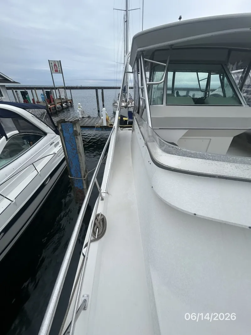 Slide: The Image of 42' Cruisers starboard side deck - 6419332