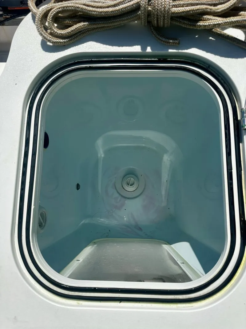 Slide: The Image of Sea Fox 28 2022 - 6472480