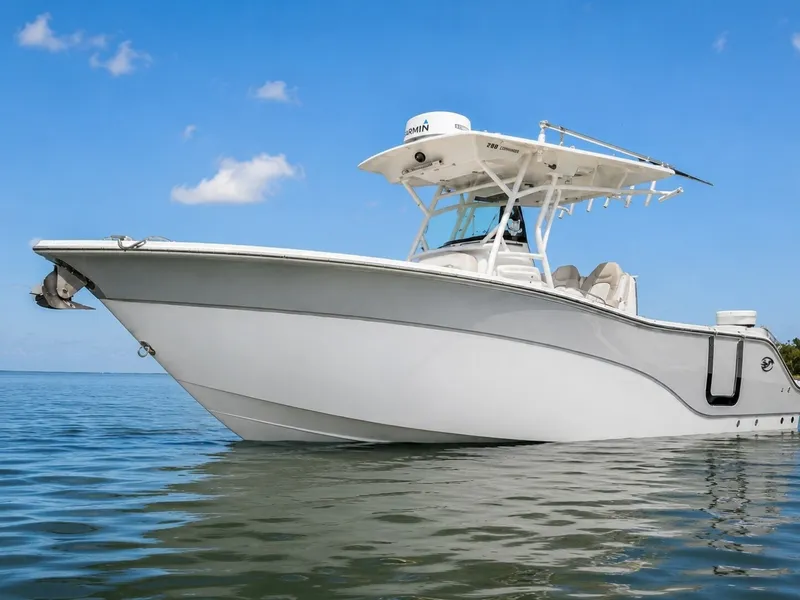 The Image of Sea Fox 28 2022 - 6792073