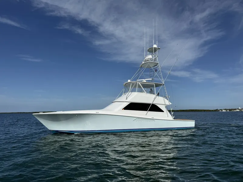 The Image of Viking 55 Convertible 2000 - 6474244