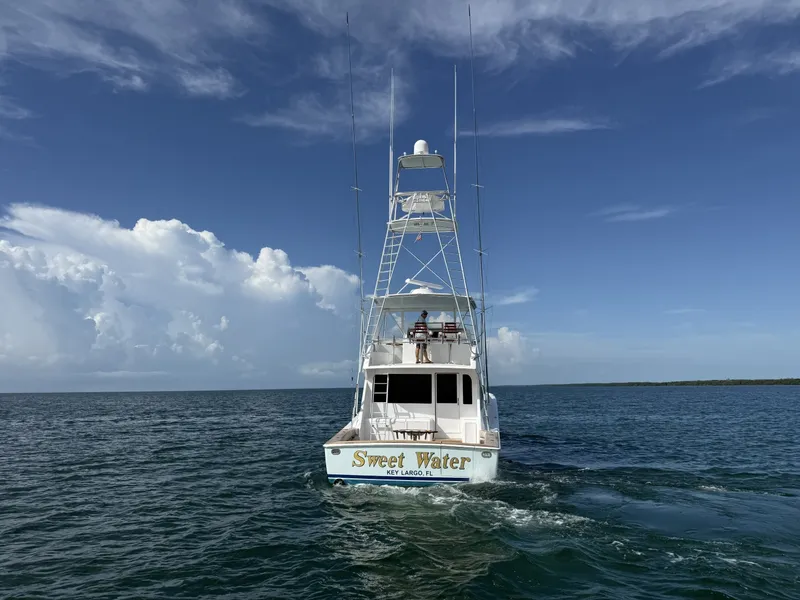Slide: The Image of Viking 55 Convertible 2000 - 6474247