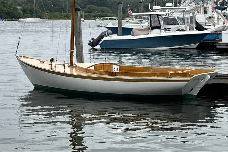 Slide: The Image of Golden Era Petrel 1979 - 6476200