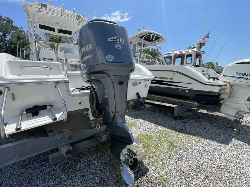 Slide: The Image of Sea Pro 238WA 2004 - 6514300